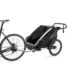 Thule Chariot Lite 2 Agave