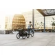 Thule Chariot Lite 2 Agave