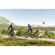 Thule Chariot Sport 1 Spectra Yellow
