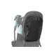 Thule Sapling Sling Pack